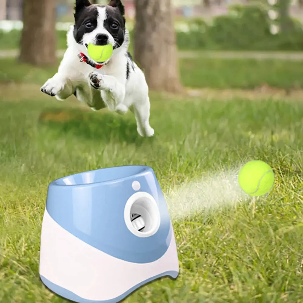 Automatic Tennis Ball Launcher My Store